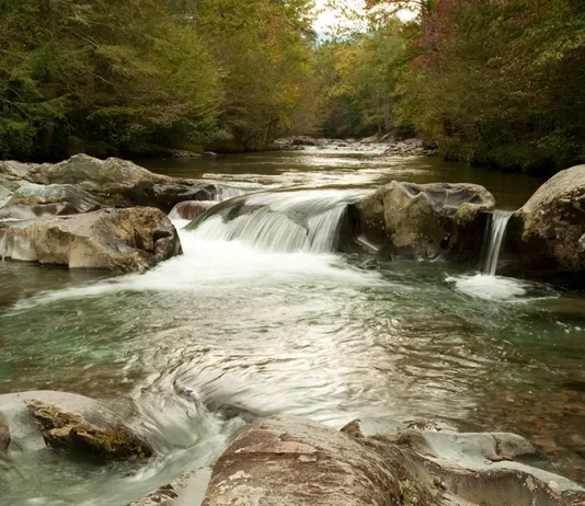 Quebrantamiento y protesta