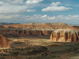 El propósito de las bendiciones