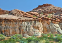 Servirnos unos a otros