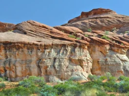 Servirnos unos a otros