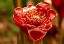 Cómo guiar a nuestros hijos