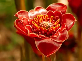 Cómo guiar a nuestros hijos