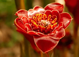 Cómo guiar a nuestros hijos