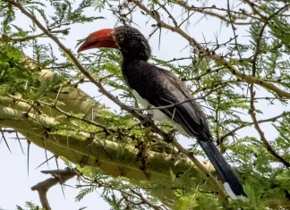 Disponible por completo