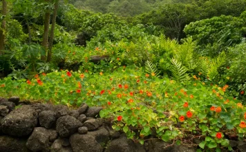 La oración bíblica
