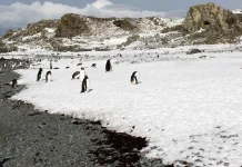 Orar a la manera de Dios