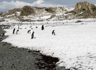 Orar a la manera de Dios