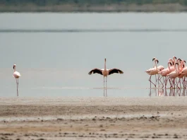 La bendición de dar
