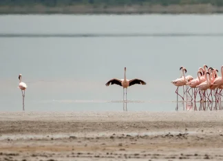 La bendición de dar