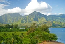 Dar en tiempos de necesidad