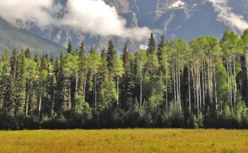 Andar con la mayor confianza