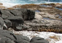 Deje que el Espíritu guíe su pensamiento