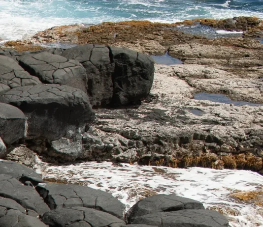 Deje que el Espíritu guíe su pensamiento