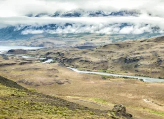 La emoción de la obediencia