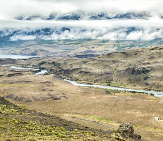 La emoción de la obediencia