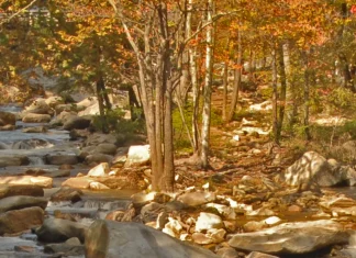 Un pequeño asunto de obediencia