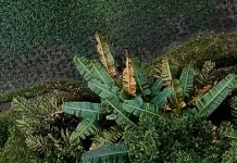 La historia de Jesús