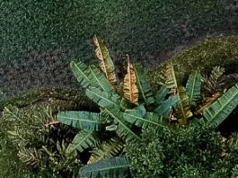 La historia de Jesús