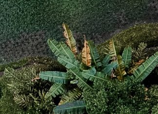 La historia de Jesús