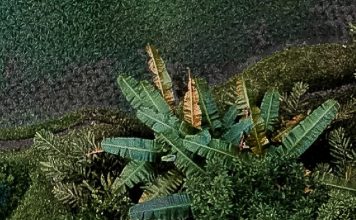 La historia de Jesús