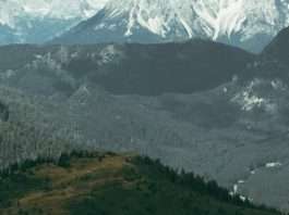 Miedo a lo desconocido