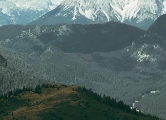 Miedo a lo desconocido