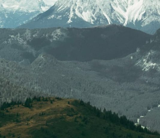 Miedo a lo desconocido