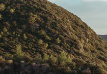 Ver a Dios en la creación