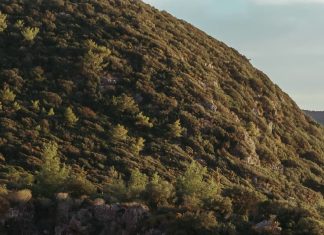 Ver a Dios en la creación