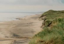 Lo que revelan las Escrituras