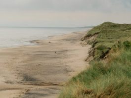 Lo que revelan las Escrituras