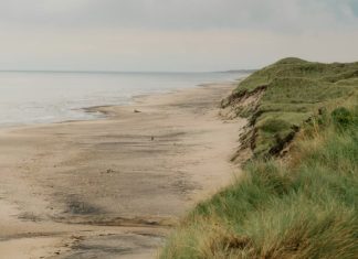 Lo que revelan las Escrituras