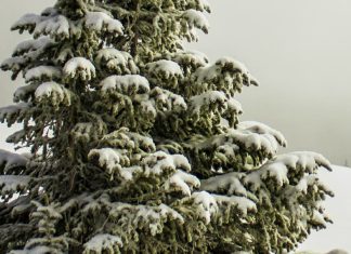 Explorando la verdad