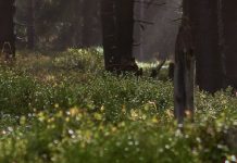 Un nuevo comienzo con Dios