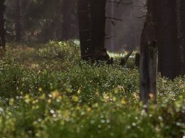 Un nuevo comienzo con Dios