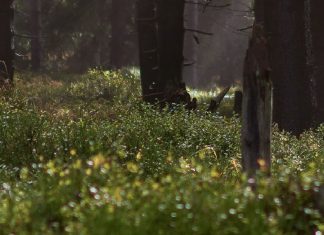 Un nuevo comienzo con Dios