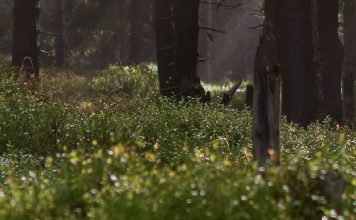 Un nuevo comienzo con Dios