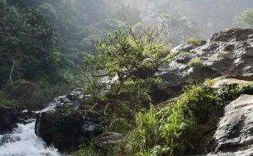 El regalo de las pruebas