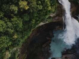 Bendecido de ser una bendición