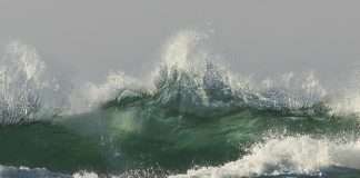 Volverse santo
