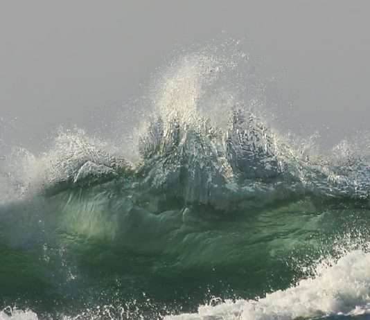 Volverse santo