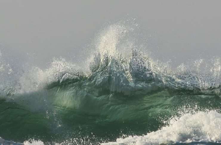 Volverse santo