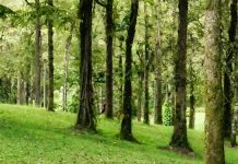 ¿Qué le preguntarías a Jesús?