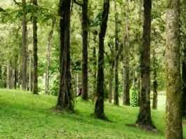 ¿Qué le preguntarías a Jesús?