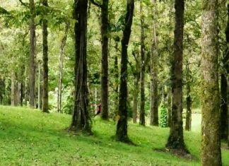 ¿Qué le preguntarías a Jesús?