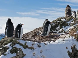 La clave para salir adelante en los tiempos difíciles