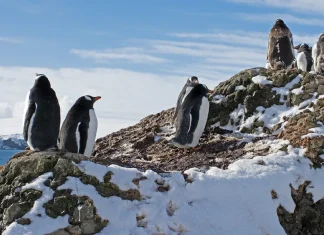 La clave para salir adelante en los tiempos difíciles
