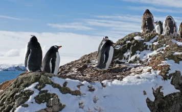 La clave para salir adelante en los tiempos difíciles
