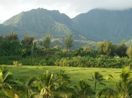 La oración en la vida del creyente