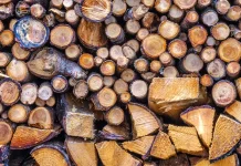 No hay amor más grande